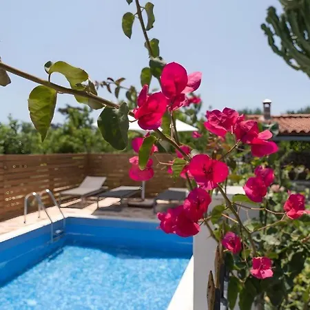 Elysian Private Pool & Garden View فيلة *